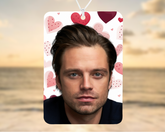 Car Air Freshener Sebastian Stan